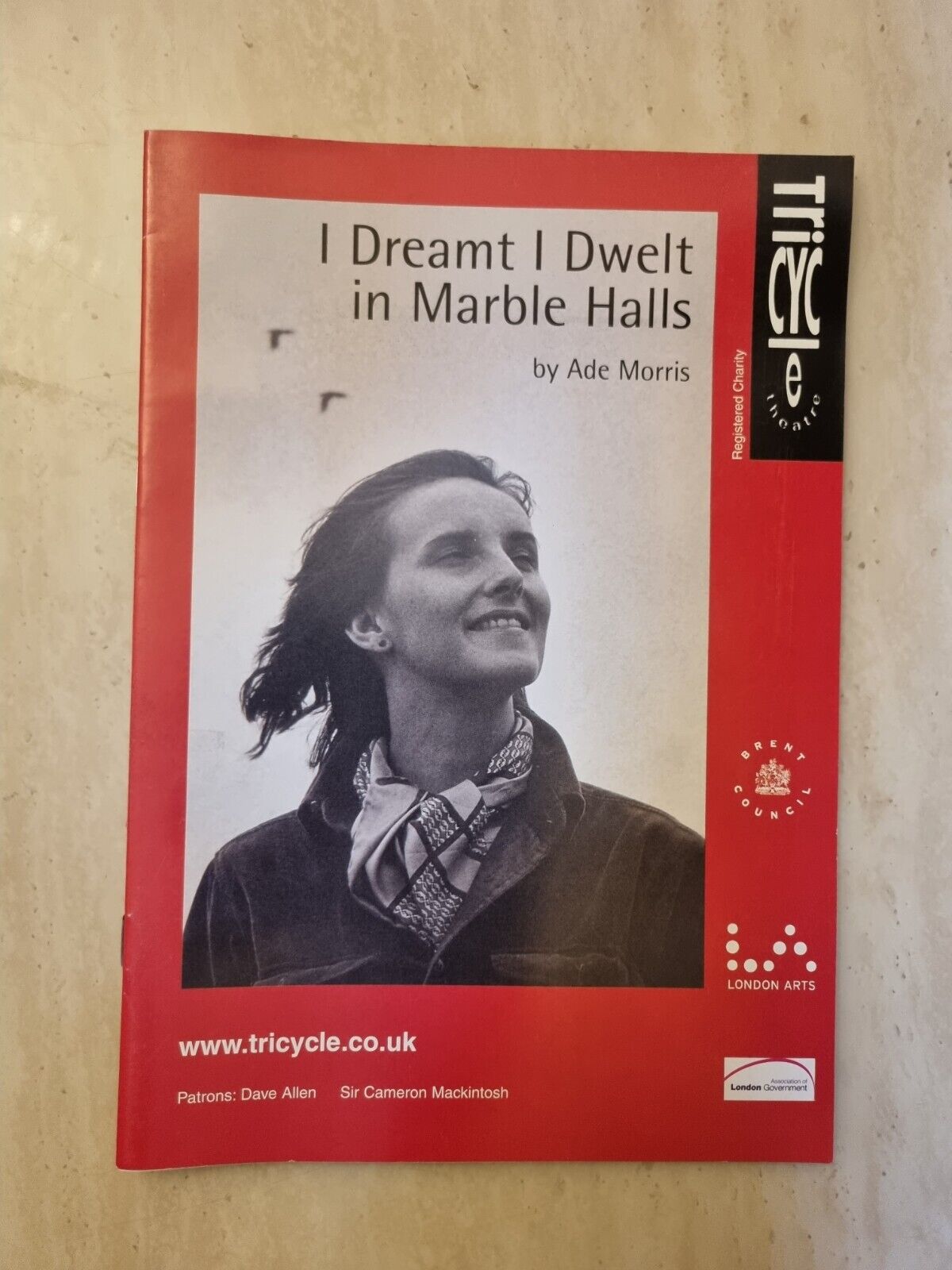 I Dreamt I Dwelt in Marble Halls Shaun Hennessy Ann Marcuson Mathew Morrison Main Image