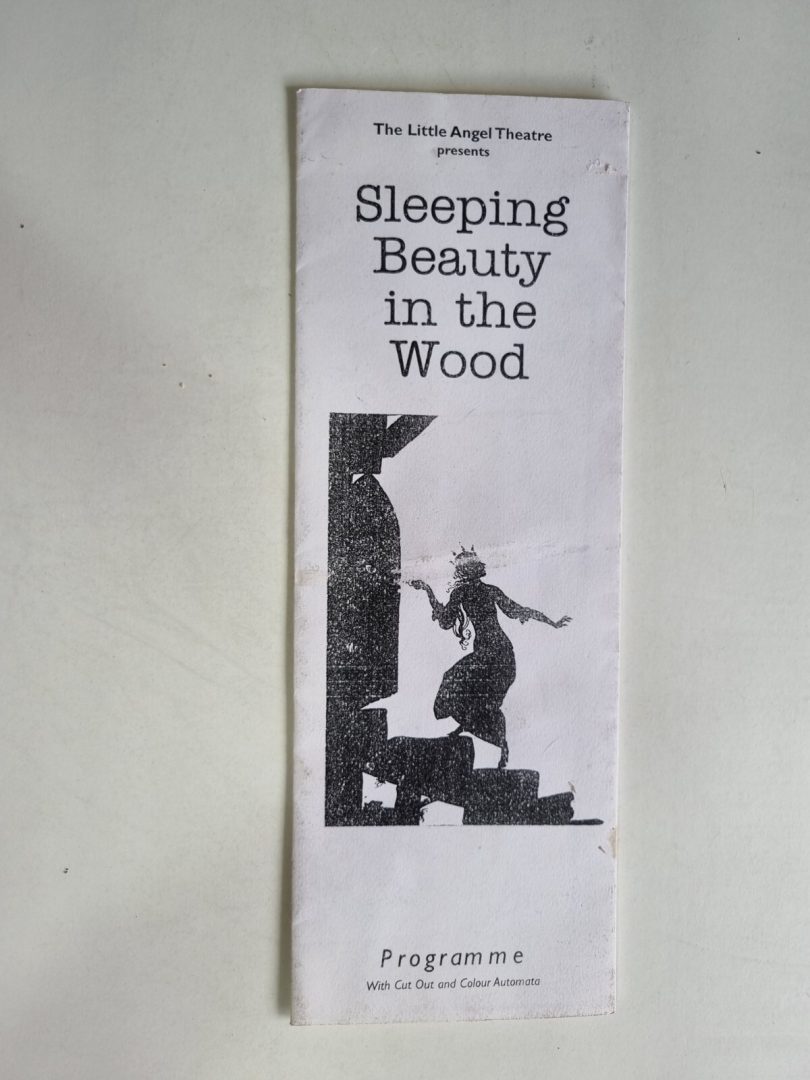 Sleeping Beauty in The Wood- Lisa Aitken Bronia Evers Justin Young Lyndie Wright Main Image
