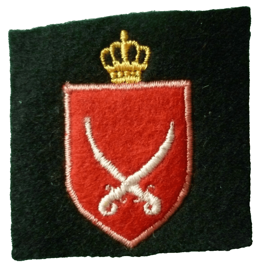 Army Formation Sign Cloth Badge 52 mm Used Main Image
