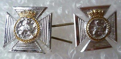 Staybrite Duke of Edinburgh's Royal Regiment Collar Badge Pair Anodised Main Image