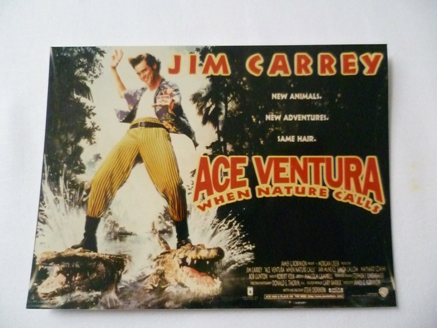 Ace Ventura Movie Poster's Vintage Photograph 96mm x 130mm Main Image