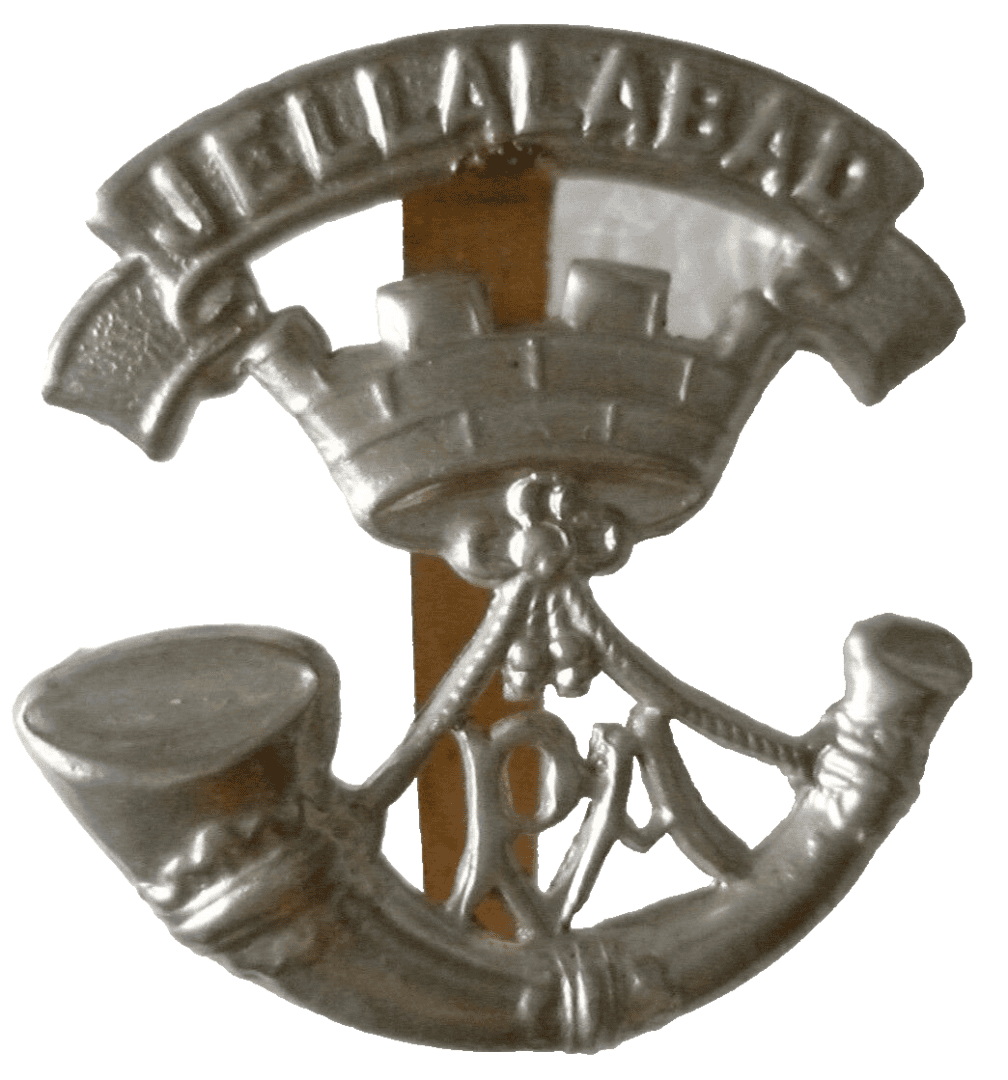 The Somerset Light Infantry (Prince Albert's) Cap Badge WM ANTIQUE Org Main Image